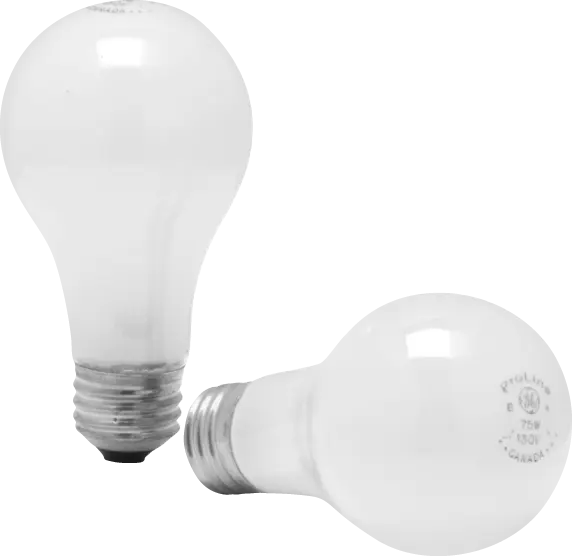 R40 250W  Heat Light Bulb Red