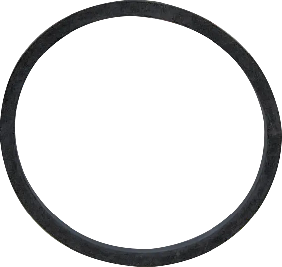 Bell & Gossett Flange Gasket (Set of 2)