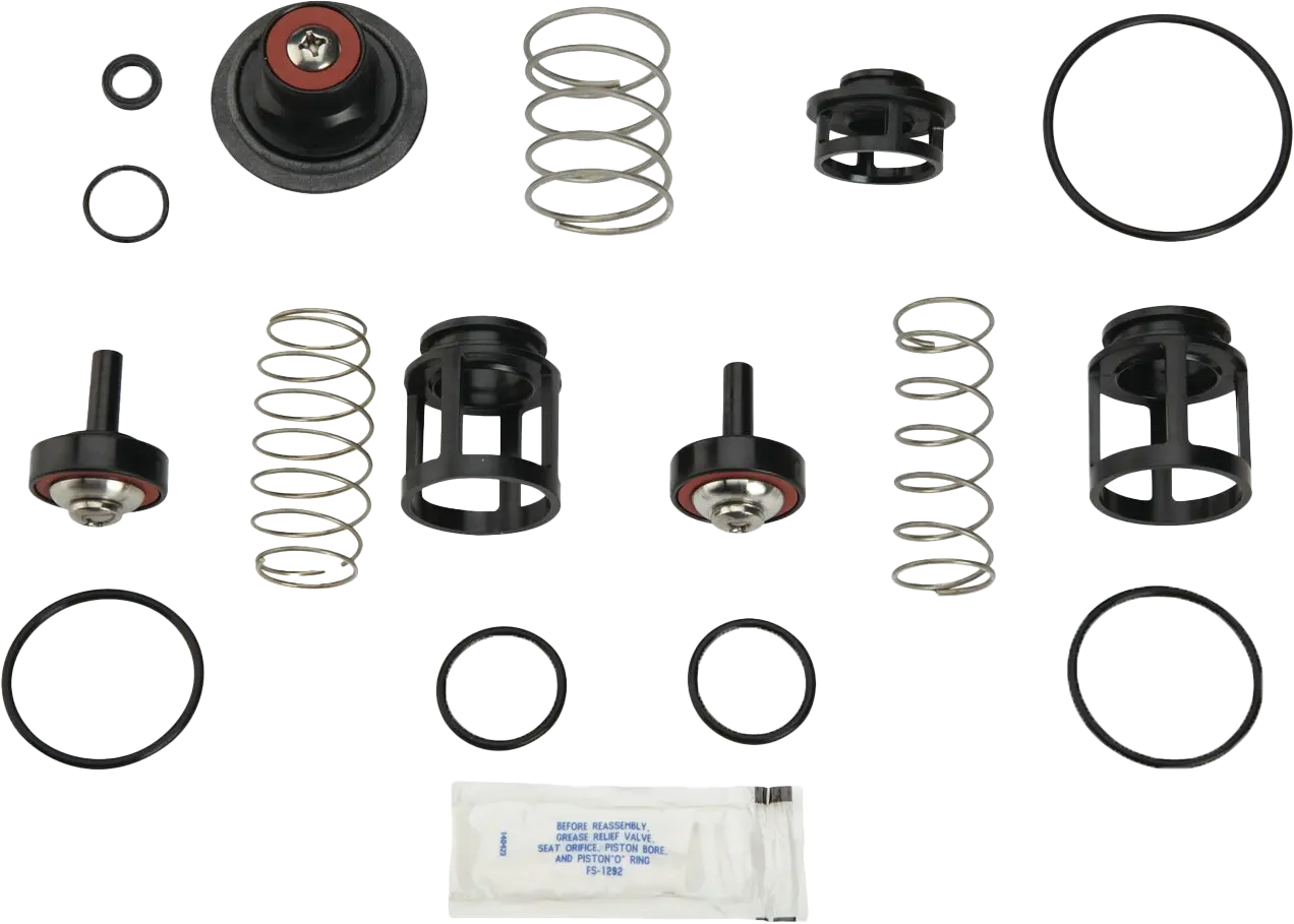 Watts RK 919-T 1" Total Rebuild Kit For 919/LF919