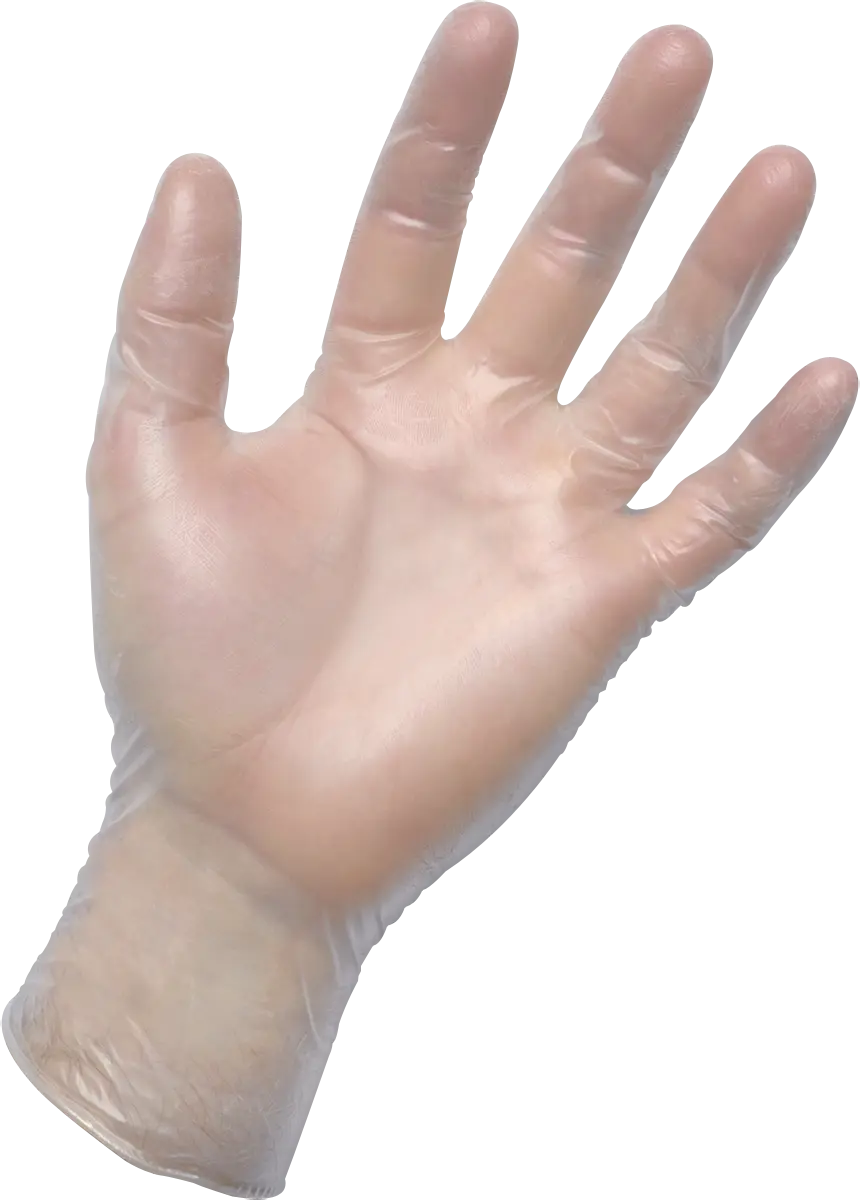 SAS 6509-20 Vinyl Powder Free Glove (XL)