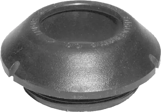Acorn Escutcheon