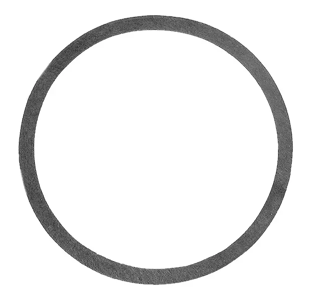 Bell & Gossett Body Gasket