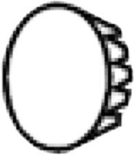 Delany Cap