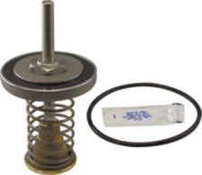 Watts RK 909 CK2 Second Check Kits - 2-1/2