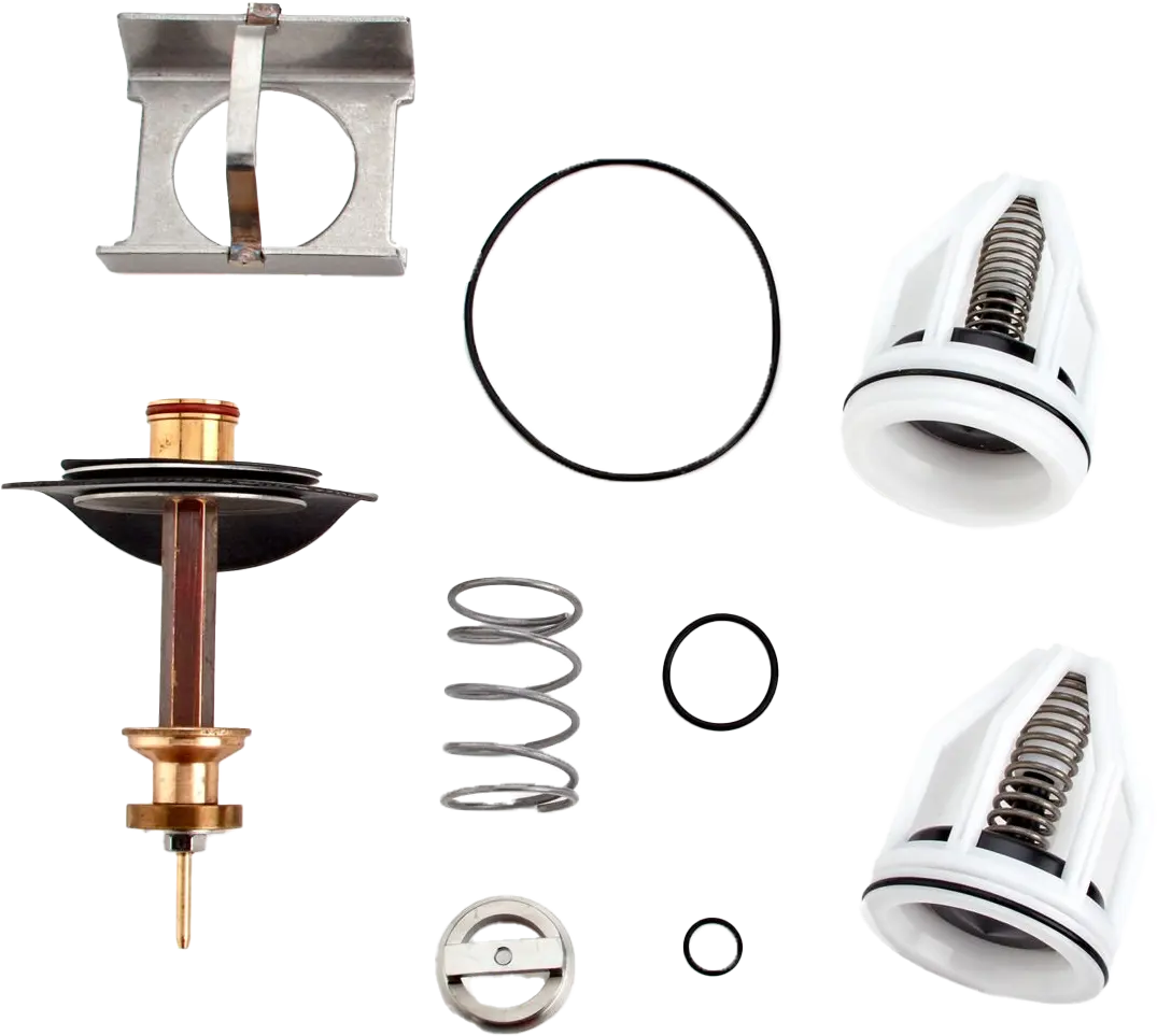 Watts RK 009M1-T 1-1/4" - 2" Total Rebuild Kit For M1 009/LF009