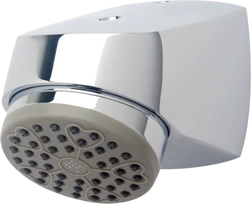 Symmons Senior Shower Head