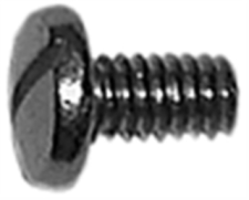 T&S Brass Screw