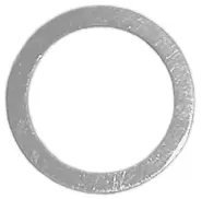 T&S Brass Slip Washer
