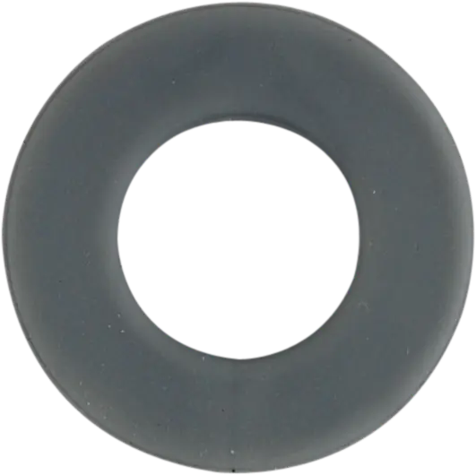 T&S Brass Seat Washer