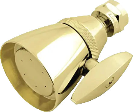 Shower Head with 2-1/4" Face, Polished Brass