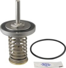 Watts RK 909 CK1 First Check Kits - 2-1/2" - 3"