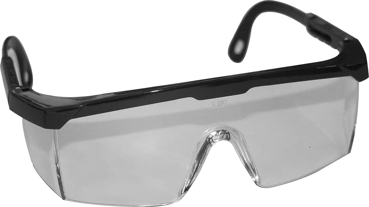 SAS Eyeguard Spectacles