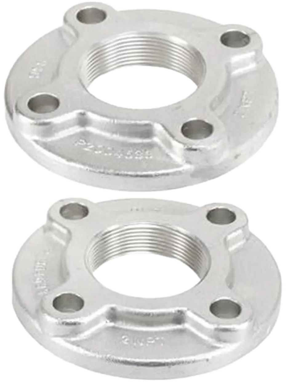 Bell & Gossett 2" Stainless Steel Flange Set