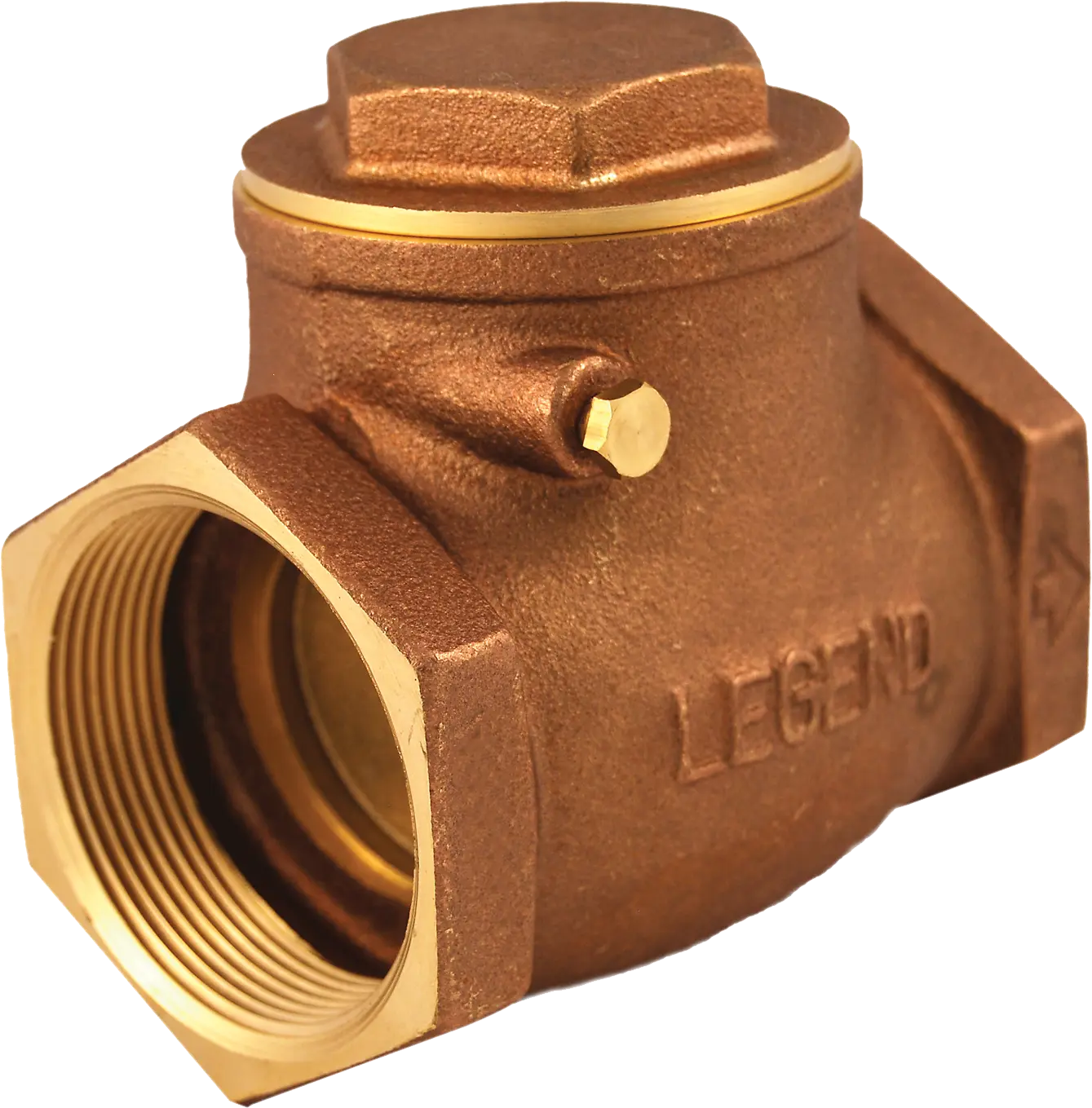 Legend Check Valve Series 451, 3" NPT