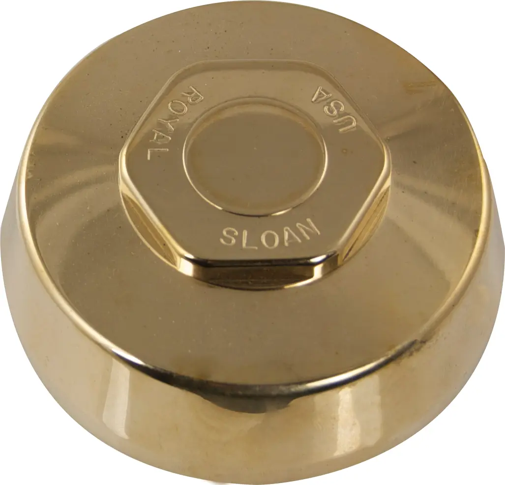 Sloan Outside Cover Rough Brass