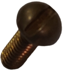 Leonard Rough Brass Cover Screws