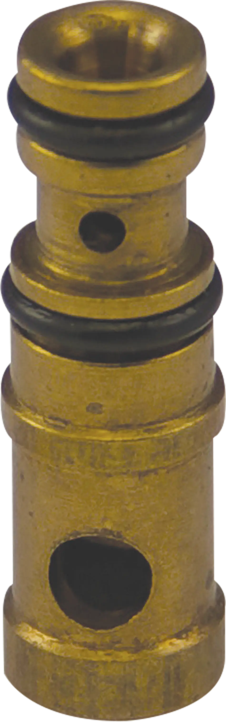 Bosch Venturi
