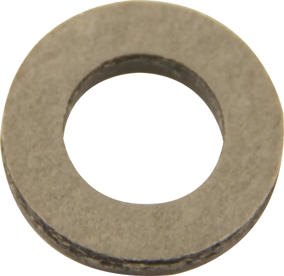 T&S Brass Fiber Washer