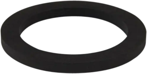 Fountain Strainer Gasket