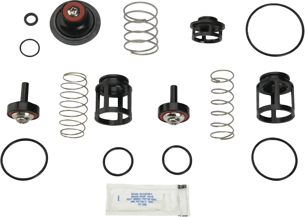 Watts RK 919-T 2" Total Rebuild Kit For 919/LF919